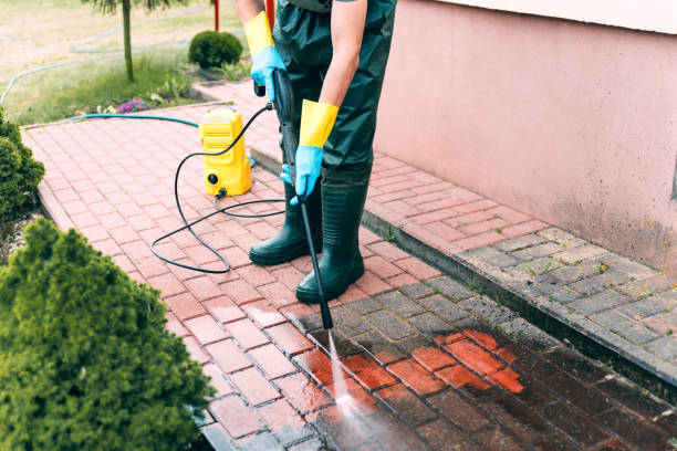 Best Driveway Cleaning and Restoration in Albertson, NY